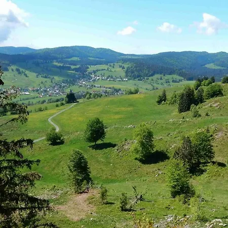 Weitblick 