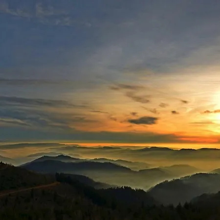 Weitblick 