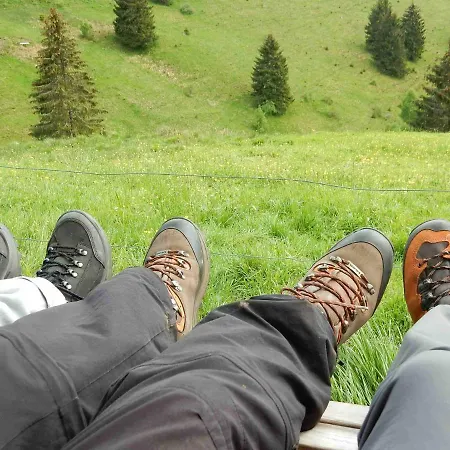 Weitblick 