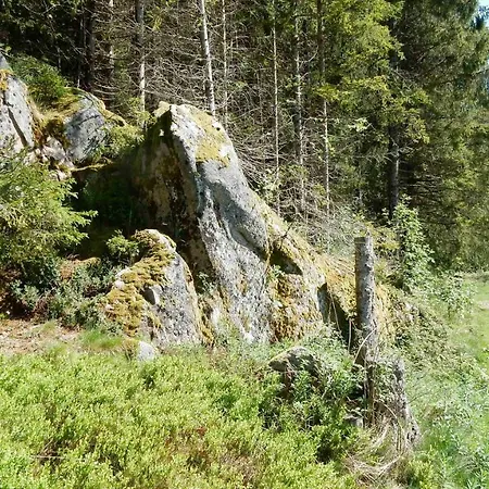Weitblick 